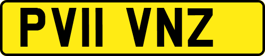 PV11VNZ