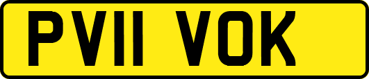 PV11VOK