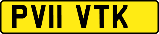 PV11VTK