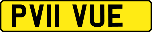 PV11VUE