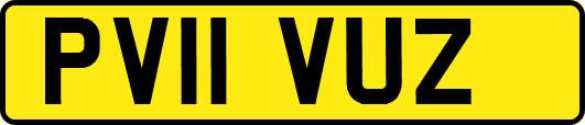 PV11VUZ