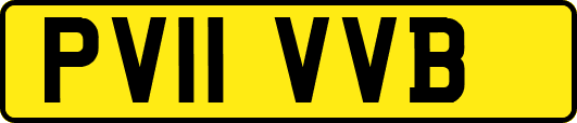 PV11VVB