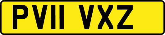 PV11VXZ