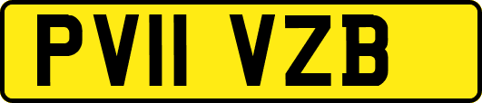 PV11VZB