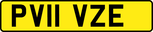PV11VZE