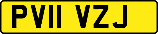 PV11VZJ