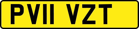 PV11VZT