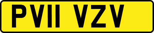PV11VZV