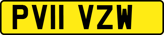PV11VZW