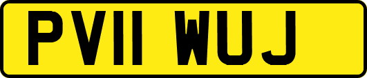 PV11WUJ