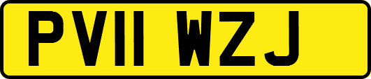 PV11WZJ