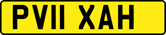 PV11XAH