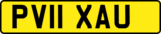PV11XAU