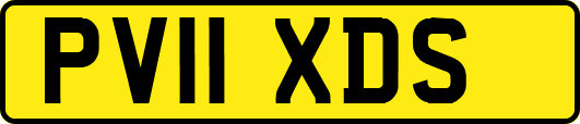 PV11XDS