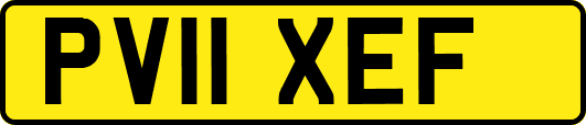 PV11XEF