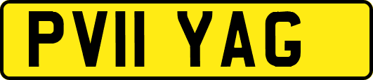 PV11YAG
