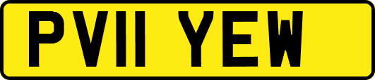 PV11YEW