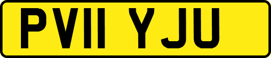 PV11YJU