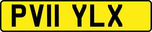 PV11YLX