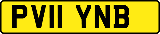 PV11YNB