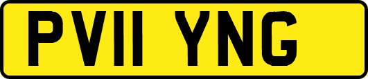 PV11YNG