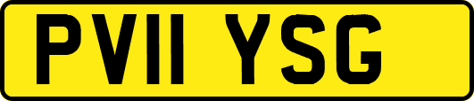 PV11YSG