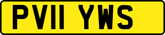 PV11YWS