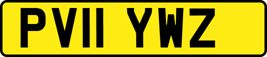 PV11YWZ