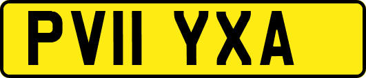PV11YXA