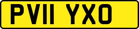 PV11YXO