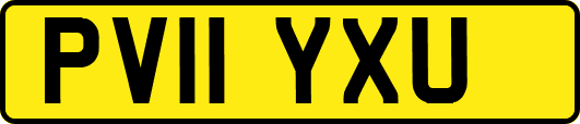 PV11YXU