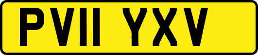PV11YXV