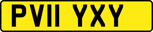 PV11YXY