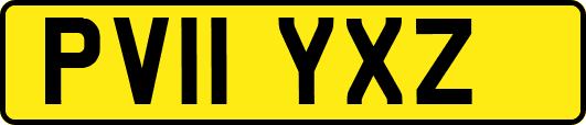 PV11YXZ