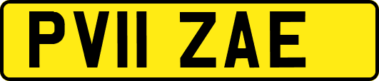 PV11ZAE