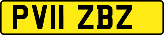 PV11ZBZ