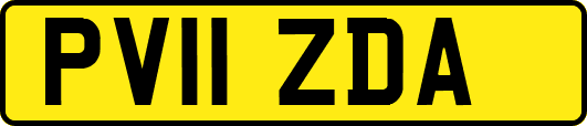 PV11ZDA