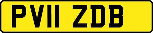 PV11ZDB