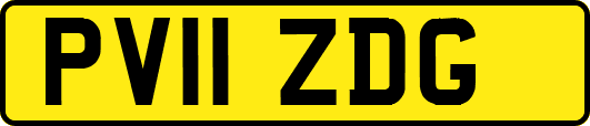 PV11ZDG