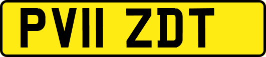 PV11ZDT