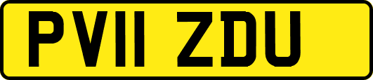 PV11ZDU