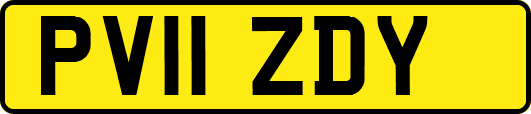 PV11ZDY