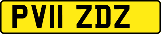 PV11ZDZ