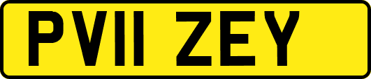 PV11ZEY