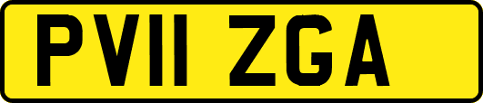 PV11ZGA
