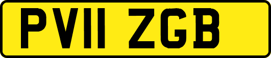 PV11ZGB
