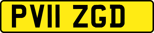 PV11ZGD