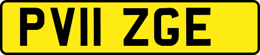 PV11ZGE