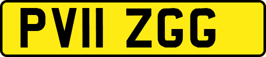 PV11ZGG