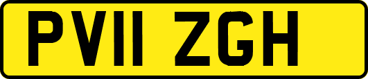PV11ZGH